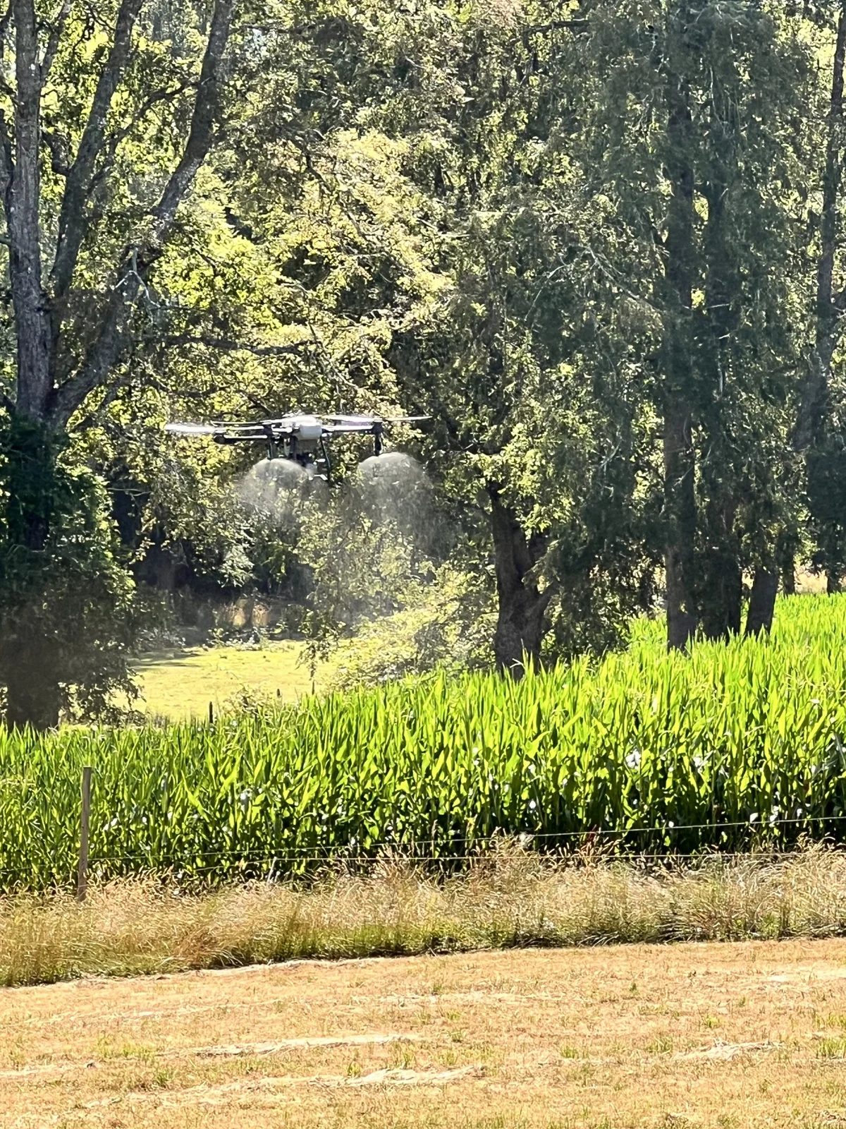 Dron agrícola Suraqua Service en terreno · fotografía 4