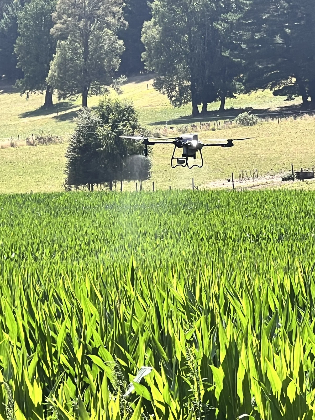 Dron agrícola Suraqua Service en terreno · fotografía 5
