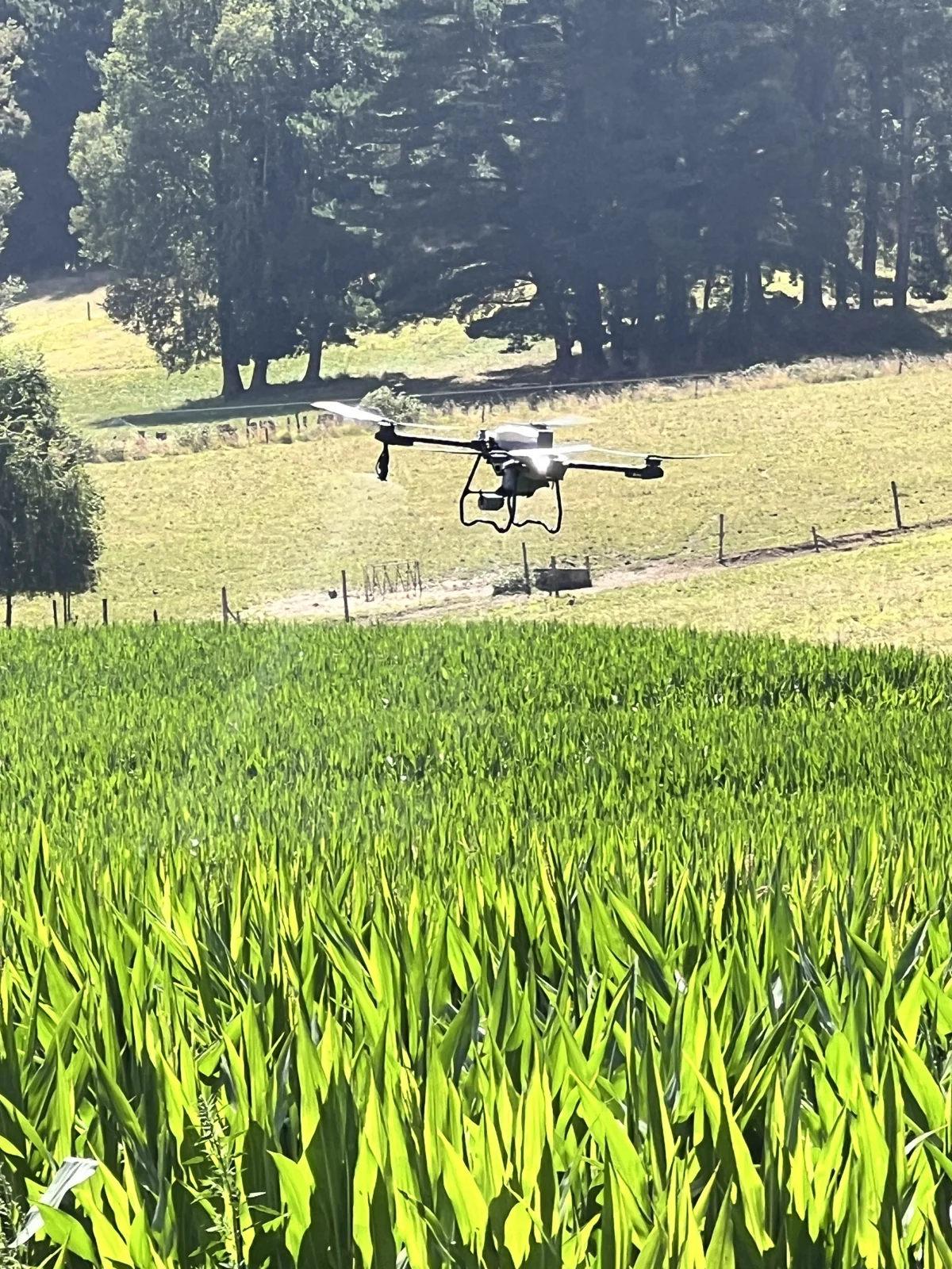 Dron agrícola Suraqua Service en terreno · fotografía 6