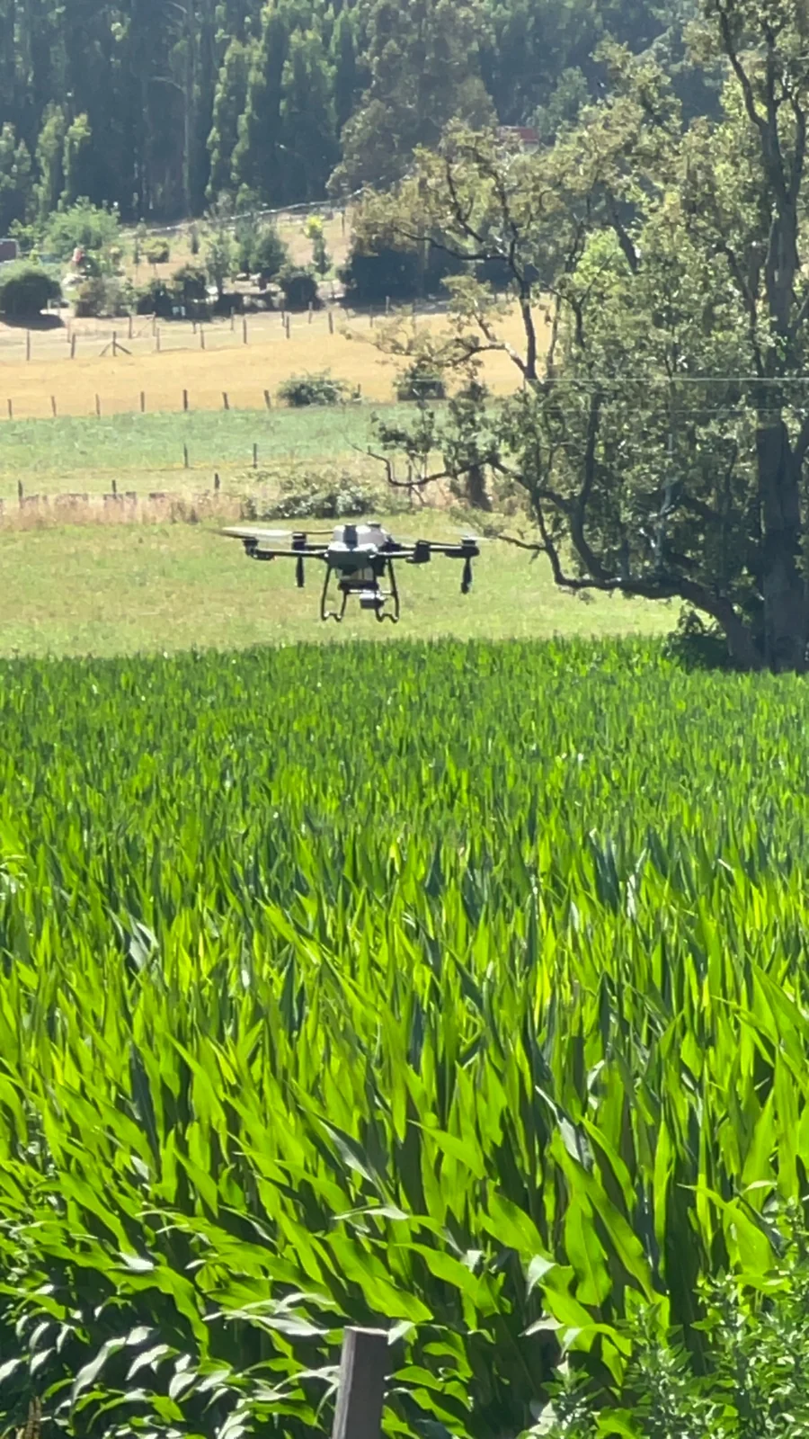 Dron agrícola Suraqua Service en terreno · fotografía 7